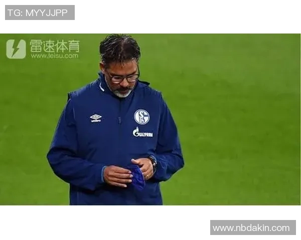沙尔克04解雇主帅瓦格纳下课寻找新帅 沙尔克04解雇主帅瓦格纳下课寻找新帅
