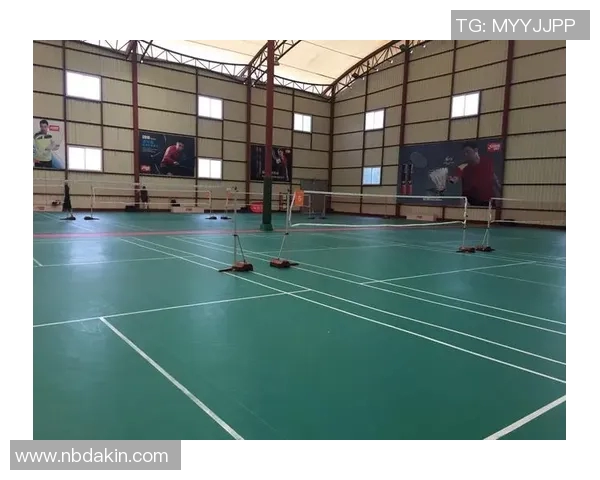 深入探讨上海羽毛球队实力对比与未来发展潜力分析 深入探讨上海羽毛球队实力对比与未来发展潜力分析